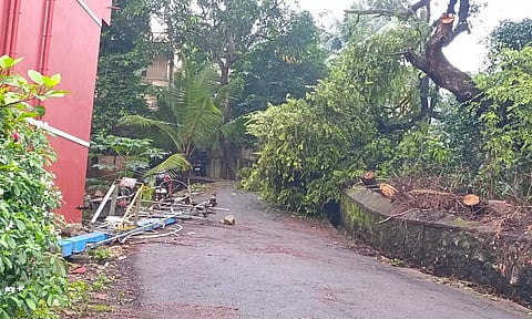 குழித்துறையில் மரம் முறிந்து விழுந்து டிரான்ஸ்பார்மர் சேதம்