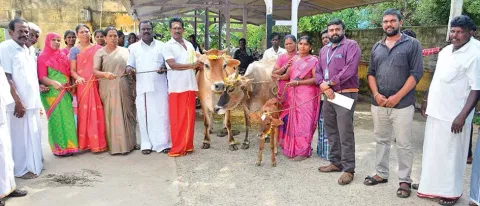 கறவை மாடுகள் வழங்கப்பட்ட போது எடுத்தப்படம்.