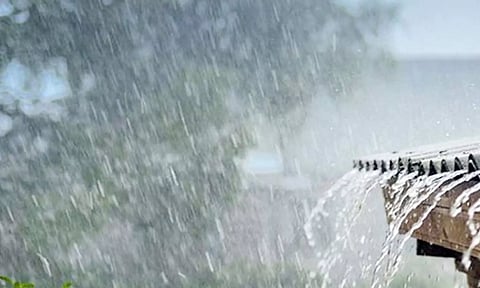 பல்லடம் பகுதியில் தொடர் மழையினால் மக்கள் வீடுகளில் முடக்கம்