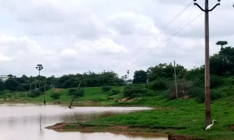 குளத்தின் நடுவே சரிந்து விழும் நிலையில் உள்ள மின்கம்பம்.