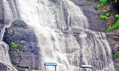 தொடர்மழையால் நிரம்பும் தருவாயில் அணைகள்: குற்றாலம் அருவிகளில் தண்ணீர் ஆர்ப்பரிப்பு