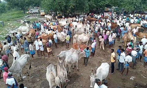தீபாவளி பண்டிகை முன்னிட்டு களைகட்டிய மாட்டு சந்தை