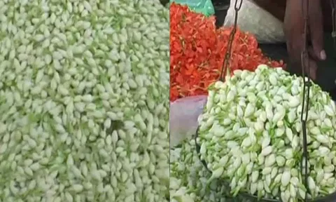 கோப்புபடம்.&nbsp;
