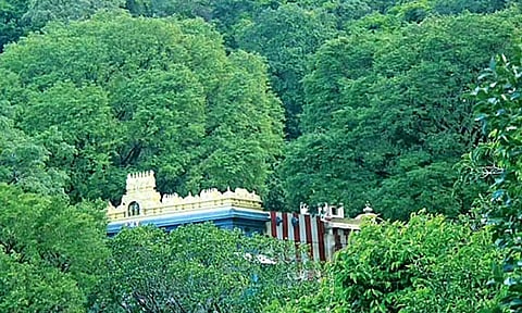 திருக்குறுங்குடி திருமலை நம்பி கோவிலுக்கு செல்ல பக்தர்களுக்கு அனுமதி- வனத்துறை நடவடிக்கை