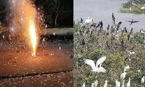 19 வருடங்களாக பட்டாசு வெடிக்காமல் தீபாவளியை கொண்டாடி வரும் மக்கள்