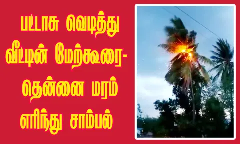 பட்டாசு வெடித்து வீட்டின் மேற்கூரை-தென்னை மரம் எரிந்து சாம்பல்