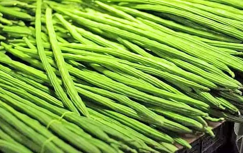 உடன்குடியில் முருங்கைக்காய் விலை சரிவு  - கிலோ ரூ.10-க்கு கொள்முதல் செய்வதால் விவசாயிகள் கவலை