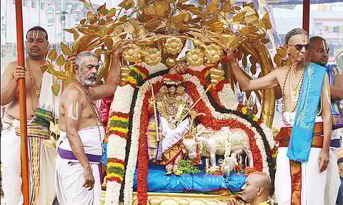 கார்த்திகை பிரம்மோற்சவ விழா: கல்ப விருட்ச, அனுமந்த வாகனங்களில் பத்மாவதி தாயார் வீதிஉலா