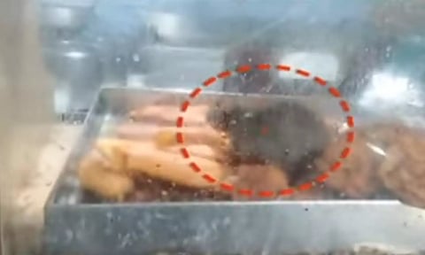 கேண்டீனில் பஜ்ஜி மீது விளையாடிய எலிகள்: மருத்துவ கல்லூரி முதல்வர்களுக்கு உணவு பாதுகாப்பு துறை நோட்டீஸ்