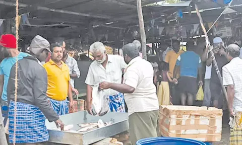 தஞ்சை தற்காலிக மார்க்கெட்டில் மீன்கள் வாங்க குவிந்த மக்கள்.