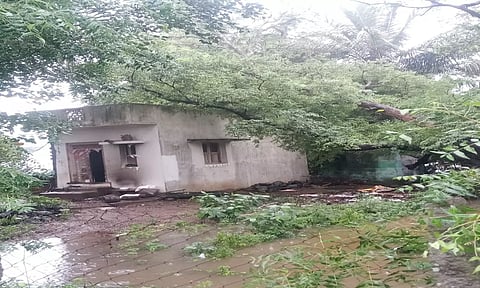 கிளியனூர் அருகே:வீட்டின் மீது விழுந்த புளியமரம்