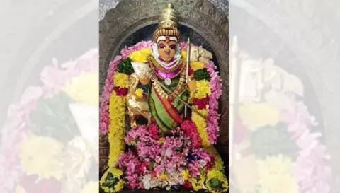 கந்த சஷ்டி விழா  2-ம் நாளை முன்னிட்டு பரமத்தி வேலூர் பேட்டை பாலமுருகன் சிறப்பு அலங்காரத்தில் அருள் பாலித்த காட்சி.
