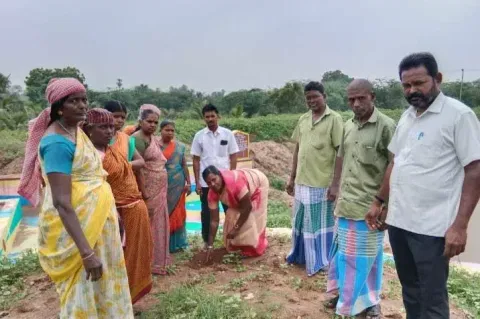 கடையம் அருகே 100 பனை விதைகள் விதைப்பு