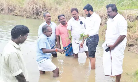 கனமழையால் பாதிக்கப்பட்ட பகுதிகளில்  ஷாநவாஸ் எம்.எல்.ஏ. ஆய்வு.