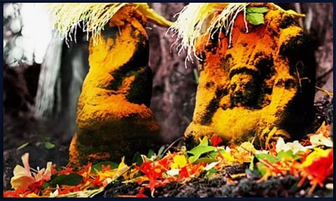 முற்பிறவி தோஷங்கள் நீக்கும் நாகராஜ விரதம்