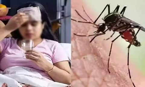 அரசு ஆஸ்பத்திரியில் டெங்கு, எலி காய்ச்சல் பாதித்த 5 பேர் அனுமதி