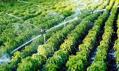 சாத்தான்குளம் அருகே நுண்ணீர் பாசனம் பராமரிப்பு குறித்து விவசாயிகளுக்கு பயிற்சி