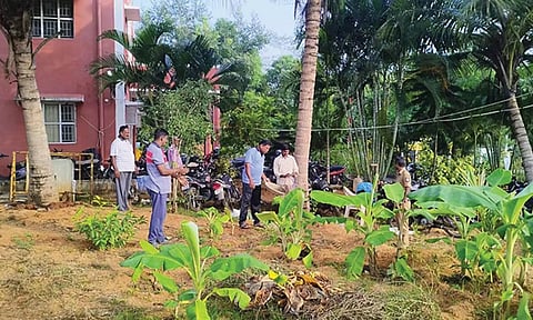 விவசாயிகளாக மாறிய போலீசார்: போலீஸ் நிலையத்தை சுற்றி காய்கறி-மூலிகை தோட்டம்