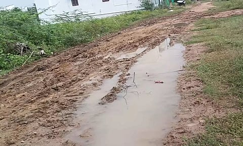 வந்தவாசி தேனருவி நகரில் அடிப்படை வசதி செய்து தர வலியுறுத்தல்