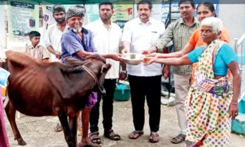 ரவணசமுத்திரம் ஊராட்சியில் கால்நடை மருத்துவ முகாம்