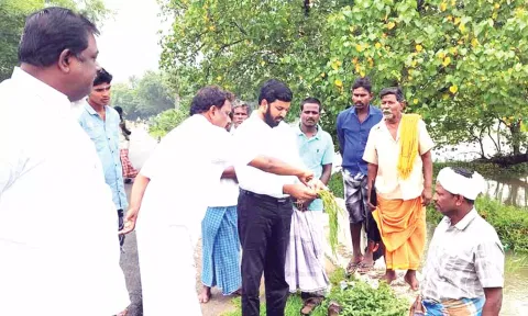 பாதிக்கப்பட்ட பயிர்களை ஷா நவாஸ் எம்.எல்.ஏ. ஆய்வு செய்தார்.
