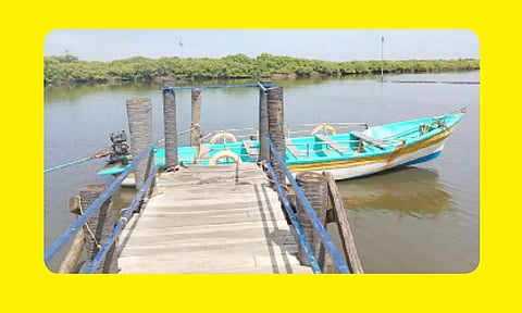 தொண்டி அருகே காரங்காடு பகுதியில் இயற்கையாக வளர்ந்துள்ள அலையாத்தி காடுகள்.
