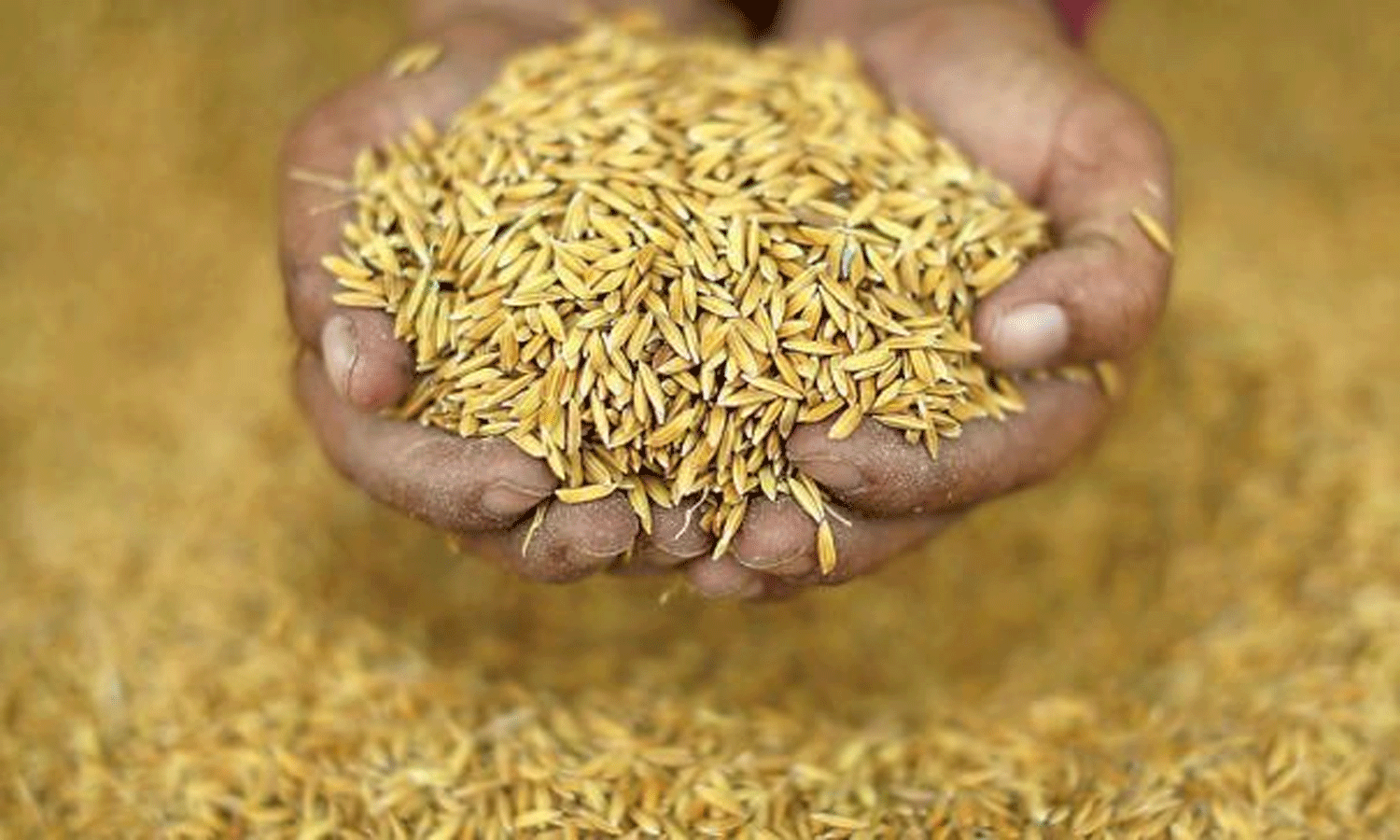 நெல்லுக்கான ஆதார விலையை உயர்த்த வேண்டும்