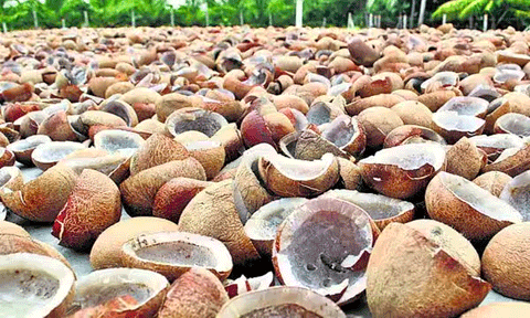 பெருந்துறையில் ரூ.1.57 கோடிக்கு கொப்பரை ஏலம்
