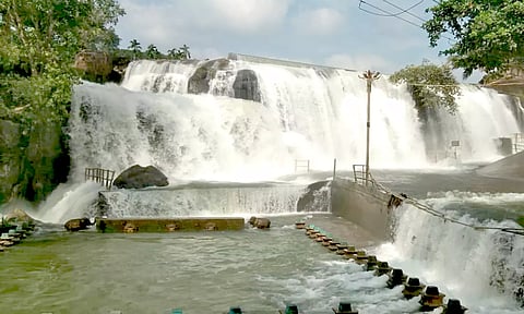 பேச்சிப்பாறை அணையில் இருந்து வெளியேற்றப்பட்ட உபரிநீர் அளவு அதிகரிப்பு