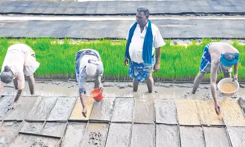 நாற்றங்கால் தயாரிக்கும் பணியில் ஈடுபட்ட விவசாயிகள்.