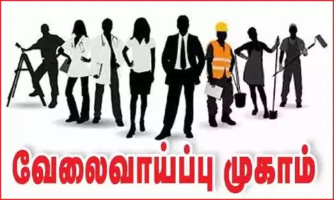 தனியார் துறை வேலை வாய்ப்பு முகாம்