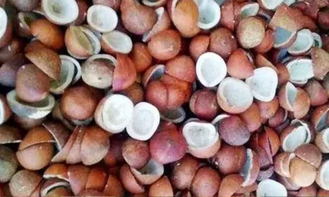கோப்புபடம்.