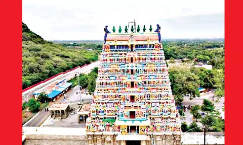 கும்பாபிஷேகம் நடைபெற உள்ள ராஜகோபுரம்.