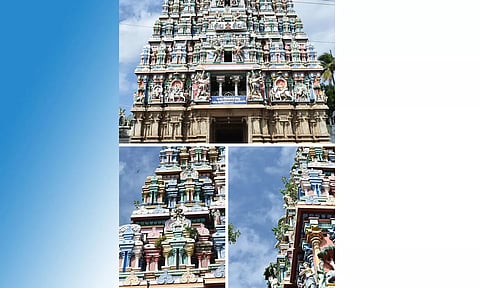 பெரிய கோவில் ராஜ கோபுரத்தில் அடர்ந்து வளரும் செடிகள்