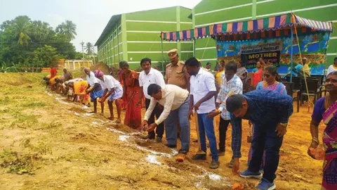 பனை விதைகள் நடப்பட்ட காட்சி.