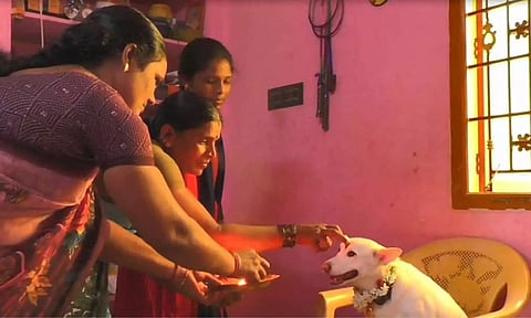 குடும்ப உறுப்பினரான செல்லபிராணி... கருவுற்ற நாயிற்கு வளைகாப்பு நடத்தி அசத்திய குடும்பத்தார்
