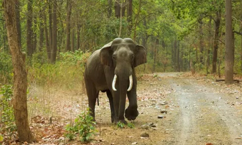 கோப்பு படம்