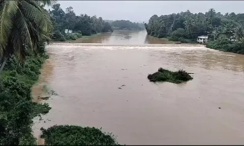 கார்த்திகை தீபத்திருவிழாவையொட்டி குமரியில் 7 கோவில்களில் சொக்கப்பனை கொளுத்தும் நிகழ்ச்சி