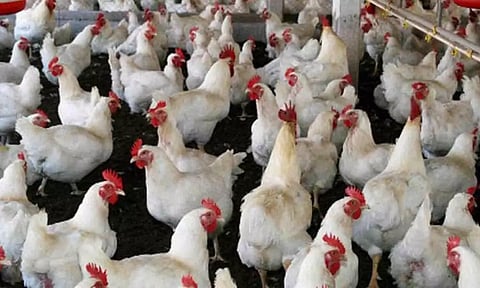 கோப்புபடம்.&nbsp;