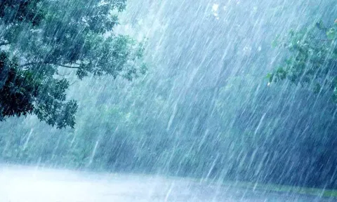கோப்புபடம்.&nbsp;