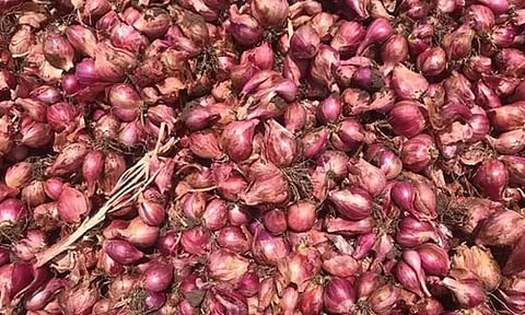 வரத்து குறைந்ததால் சின்ன வெங்காயம் விலை மீண்டும் ரூ.100-ஐ தாண்டியது: இல்லத்தரசிகள் அதிர்ச்சி