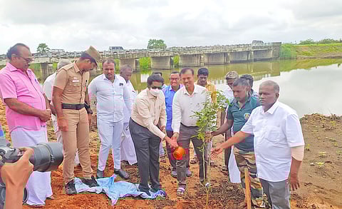 தூத்துக்குடியில் மரக்கன்று நடும் விழா - கலெக்டர் தொடங்கி வைத்தார்