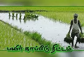 முந்திரி பயிர்களுக்கு காப்பீடுதிட்டம் செயல்படுத்த வலியுறுத்தல்