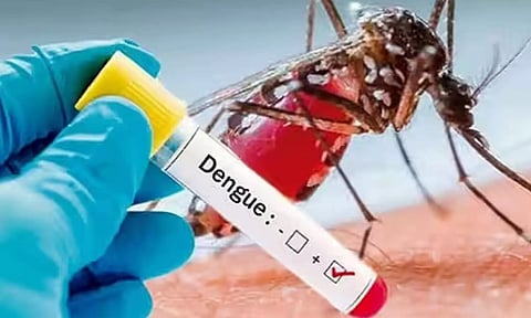 அதிகரிக்கும் டெங்கு பாதிப்பால் பொதுமக்கள் அச்சம்: தடுப்பு நடவடிக்கைகள் தீவிரப்படுத்தப்படுமா?
