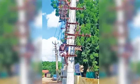 மின் கம்பத்தில் ஏறி நிற்கும் தொழிலாளி.