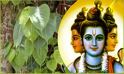 சிறப்பு மிக்க கார்த்திகை தீபம்