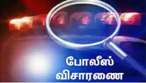 சேலம் பெருமாள்மலை அடிவாரத்தில்சந்தன மரத்தை வெட்டிய மர்ம நபர்கள்