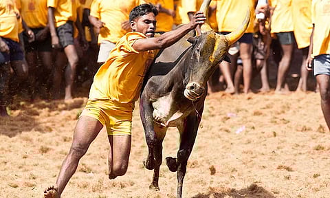 அவனியாபுரம் ஜல்லிக்கட்டு... கட்டுப்பாடுகளை விதித்த மாநகர காவல்துறை