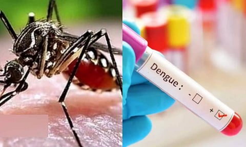 மிரட்டும் டெங்கு காய்ச்சலால் ஒரே நாளில் 59 பேர் அனுமதி- தடுப்பு நடவடிக்கை தீவிரம்