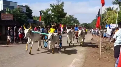 கருங்குழிகாடு கிராமத்தில் மாட்டு வண்டி எல்கை பந்தயம் - கார்த்திகை தீபத்தை முன்னிட்டு நடைபெற்றது